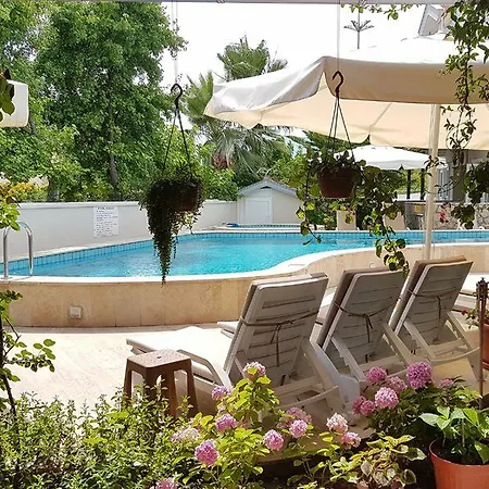 Ozalp C Dalyan